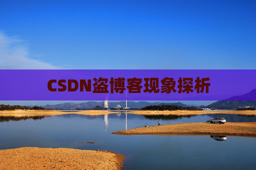 CSDN盗博客现象探析 CSDN盗博客现象探析